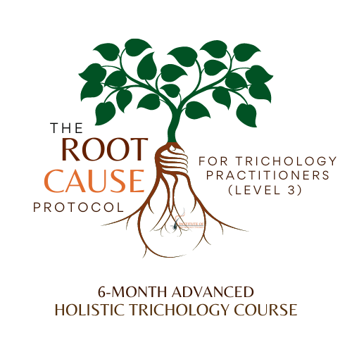 The Root Cause Protocol